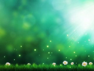Обои цветы, трава, фон, ромашки, солнечные лучи, боке, flowers, grass, background, chamomile, the sun's rays, bokeh разрешение 2880x1800 Загрузить