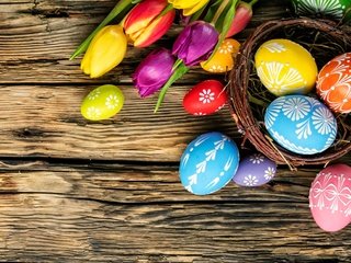 Обои тюльпаны, довольная, пасха, красочная, праздник, яйца крашеные, дерева, тульпаны,  цветы, глазунья, весенние, зеленые пасхальные, tulips, happy, easter, colorful, holiday, the painted eggs, wood, flowers, eggs, spring разрешение 3750x2500 Загрузить