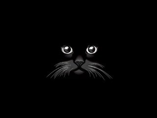 Обои вектор, кот, черный, графика, черный фон, vector, cat, black, graphics, black background разрешение 1920x1080 Загрузить
