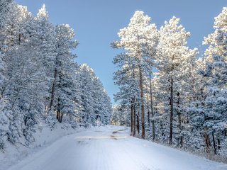 Обои небо, дорога, снег, природа, зима, сша, колорадо,     деревья, the sky, road, snow, nature, winter, usa, colorado, trees разрешение 2000x1379 Загрузить