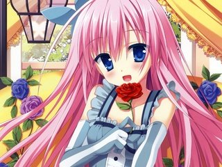 Обои цветок, роза, красивая, sugoi, hana, japanse, каваи, бисёдзё, flower, rose, beautiful, kawaii, bisize разрешение 2224x1924 Загрузить