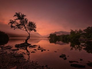 Обои озеро, горы, дерево, уэльс, сноудония, ллин падарн, lake, mountains, tree, wales, snowdonia, llyn padarn разрешение 2048x1330 Загрузить