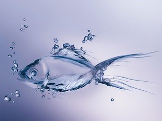 Обои вода, капли, графика, рыбка, пузырьки, рыба, 3д, water, drops, graphics, fish, bubbles, 3d разрешение 4490x3000 Загрузить