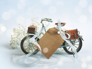 Обои цветы, ленточка, велосипед, композиция, flowers, ribbon, bike, composition разрешение 1920x1080 Загрузить