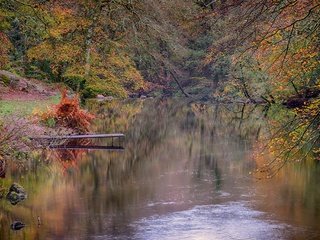 Обои лес, осень, речка, forest, autumn, river разрешение 5120x2567 Загрузить