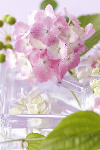Обои цветы, листья, лепестки, стекло, ваза, flowers, leaves, petals, glass, vase разрешение 2560x1600 Загрузить