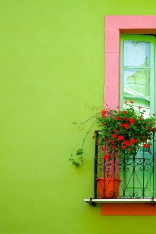 Обои зелёный, стена, окно, балкон, green, wall, window, balcony разрешение 2560x1600 Загрузить