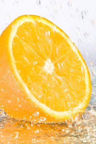 Обои апельсин, orange разрешение 1920x1200 Загрузить