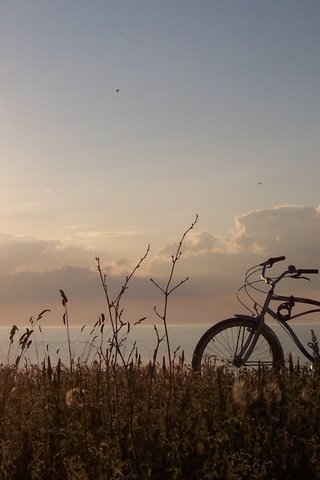 Обои трава, солнце, природа, пейзаж, велосипед, grass, the sun, nature, landscape, bike разрешение 1920x1200 Загрузить