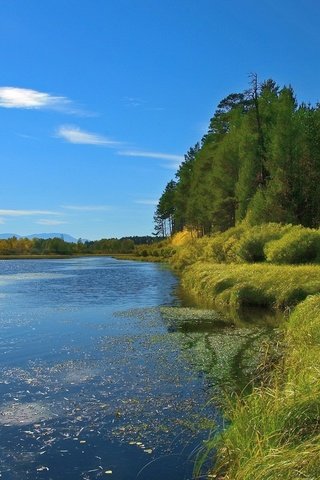 Обои озеро, берег, лето, lake, shore, summer разрешение 3200x1200 Загрузить