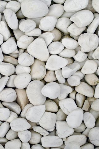 Обои камни, галька, белая, stones, pebbles, white разрешение 2560x1600 Загрузить