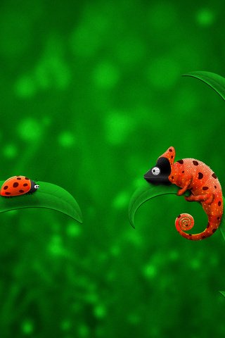 Обои зелёный, божья коровка, оранжевый, хамелеон, green, ladybug, orange, chameleon разрешение 2560x1600 Загрузить