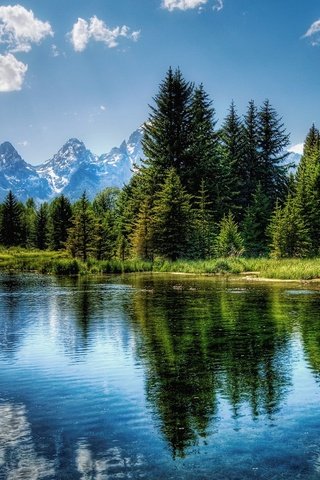 Обои небо, облака, деревья, озеро, зелёный, отражение, синий, the sky, clouds, trees, lake, green, reflection, blue разрешение 1920x1200 Загрузить