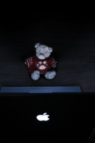 Обои свет, медведь, игрушка, ноутбук, light, bear, toy, laptop разрешение 2560x1600 Загрузить