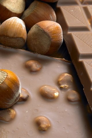 Обои сладости, настроения, шоколад, орешки, sweets, mood, chocolate, nuts разрешение 1920x1200 Загрузить