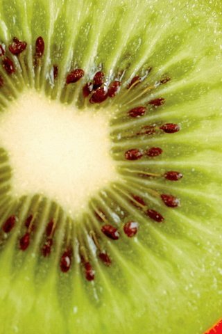 Обои фрукт, киви, fruit, kiwi разрешение 1920x1080 Загрузить
