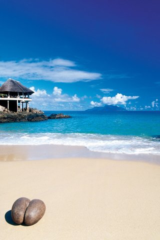 Обои пляж, тропики, сейшелы, beach, tropics, seychelles разрешение 2400x1759 Загрузить