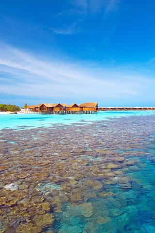 Обои море, пляж, остров, бунгало, тропики, мальдивы, sea, beach, island, bungalow, tropics, the maldives разрешение 4992x3320 Загрузить