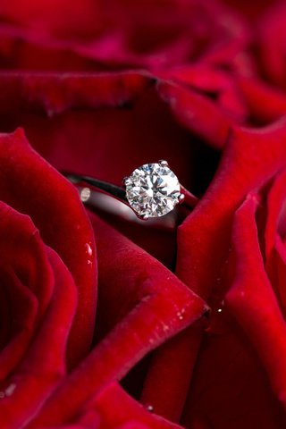 Обои цветы, розы, красные, кольцо, бриллиант, flowers, roses, red, ring, diamond разрешение 1920x1200 Загрузить