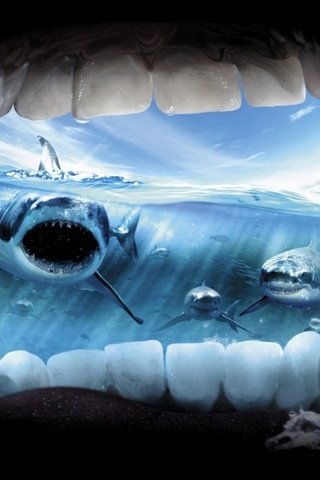 Обои океан, ужас, крик, акулы, the ocean, horror, creek, sharks разрешение 2033x1271 Загрузить