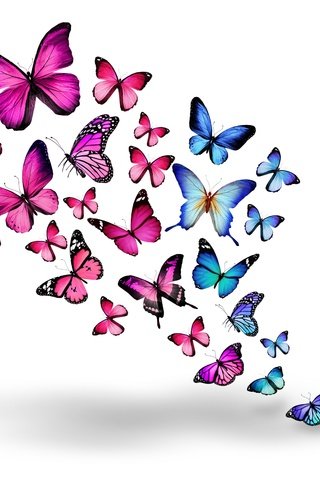 Обои насекомые, розовые, бабочки, синие, 3д, insects, pink, butterfly, blue, 3d разрешение 5500x4026 Загрузить