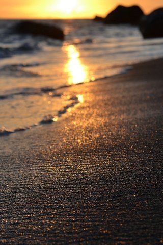 Обои свет, природа, море, пляж, тепло, солнца, боке, light, nature, sea, beach, heat, the sun, bokeh разрешение 2048x1523 Загрузить