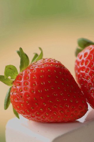 Обои красная, клубника, ягоды, сладкая, свежая, red, strawberry, berries, sweet, fresh разрешение 1920x1200 Загрузить