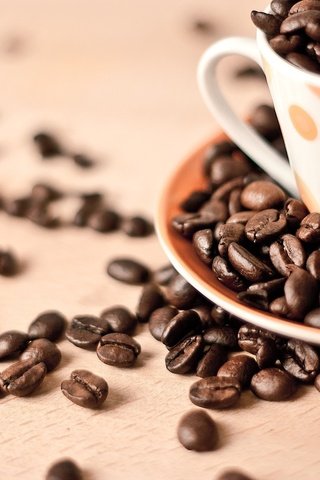 Обои зерна, кофе, чашка, кофейные, café en grano, andrés nieto porras, grain, coffee, cup разрешение 1920x1280 Загрузить