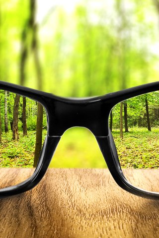 Обои земля, лес, очки, бокалы, увеличение, землей, earth, forest, glasses, increase, land разрешение 2936x1582 Загрузить