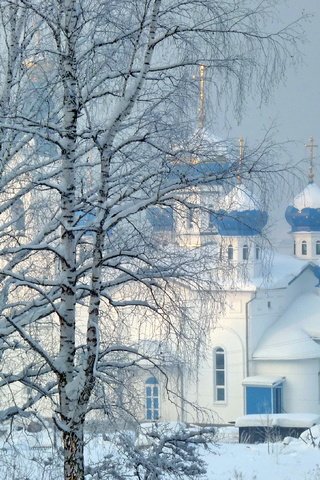 Обои деревья, снег, природа, зима, церковь, trees, snow, nature, winter, church разрешение 3264x2176 Загрузить