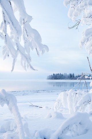 Обои деревья, озеро, снег, зима, ветки, канада, северо-западные территории, kakisa lake, озеро какиса, lake kakisa, trees, lake, snow, winter, branches, canada, northwest territories разрешение 2880x1920 Загрузить