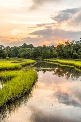 Обои сша, южная каролина, seabrook island, usa, south carolina разрешение 3300x2000 Загрузить