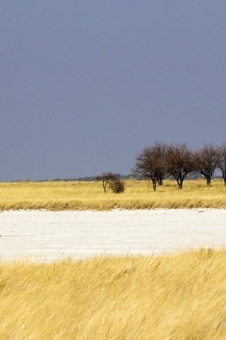 Обои небо, дорога, африка, саванна, намибия, сафанна, облачно, the sky, road, africa, savannah, namibia, savanna, cloudy разрешение 2048x1365 Загрузить