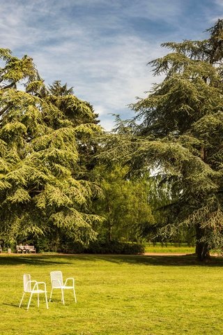 Обои цветы, скамейки, трава, германия, деревья, лужайка, зелень, аллея, парк, стулья, дорожка, лавочки, газон, кусты, дюссельдорф, лето, nordpark, flowers, benches, grass, germany, trees, lawn, greens, alley, park, chairs, track, the bushes, dusseldorf, summer разрешение 6000x4004 Загрузить