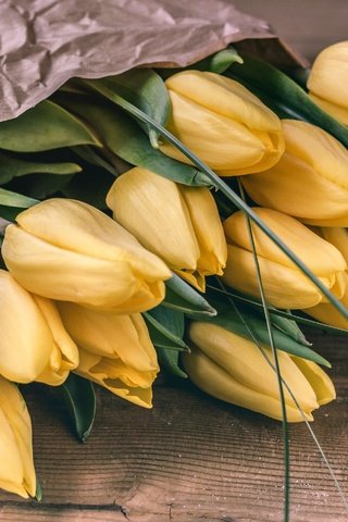 Обои цветы, бутоны, фон, букет, тюльпаны, желтые, flowers, buds, background, bouquet, tulips, yellow разрешение 3000x1937 Загрузить