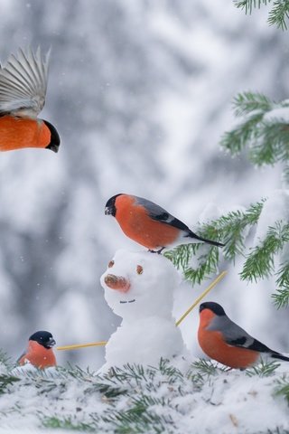 Обои снег, елка, зима, снеговик, птицы, снегирь, снегири, snow, tree, winter, snowman, birds, bullfinch, bullfinches разрешение 2048x1363 Загрузить