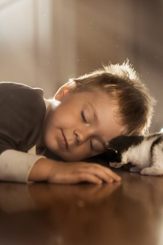 Обои сон, котенок, маленький, дети, ребенок, мальчик, sleep, kitty, small, children, child, boy разрешение 2048x1365 Загрузить
