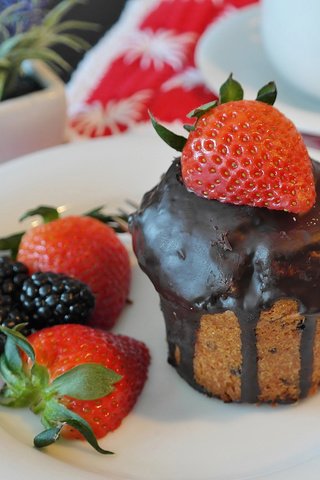Обои клубника, ягоды, шоколад, десерт, ежевика, кекс, strawberry, berries, chocolate, dessert, blackberry, cupcake разрешение 3840x2400 Загрузить