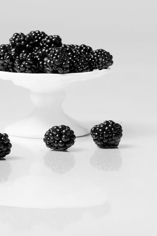 Обои фон, еда, ягоды, белый фон, ежевика, background, food, berries, white background, blackberry разрешение 2560x1709 Загрузить