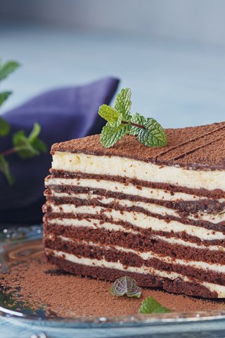 Обои торт, бисквит, кусок, шоколадный, крем, cake, biscuit, piece, chocolate, cream разрешение 8000x5333 Загрузить