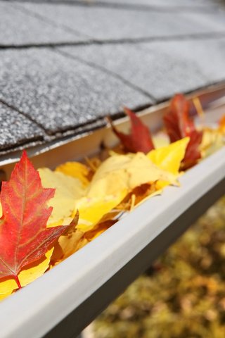 Обои листья, макро, осень, крыша, клен, кленовый лист, leaves, macro, autumn, roof, maple, maple leaf разрешение 3840x2400 Загрузить