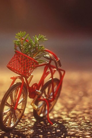 Обои корзина, растение, велосипед, фигурка, basket, plant, bike, figure разрешение 1920x1200 Загрузить