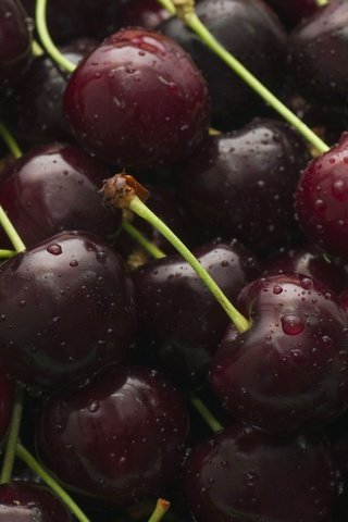 Обои макро, капли, черешня, ягоды, вишня, macro, drops, cherry, berries разрешение 3300x2085 Загрузить