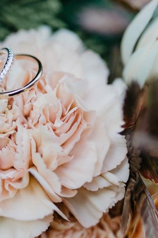 Обои цветок, кольцо, свадьба, обручальные кольца, боке, flower, ring, wedding, engagement rings, bokeh разрешение 4850x2728 Загрузить