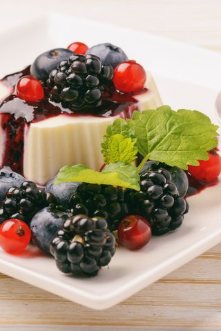Обои ягоды, черника, десерт, желе, ежевика, смородина, варенье, berries, blueberries, dessert, jelly, blackberry, currants, jam разрешение 4795x3191 Загрузить