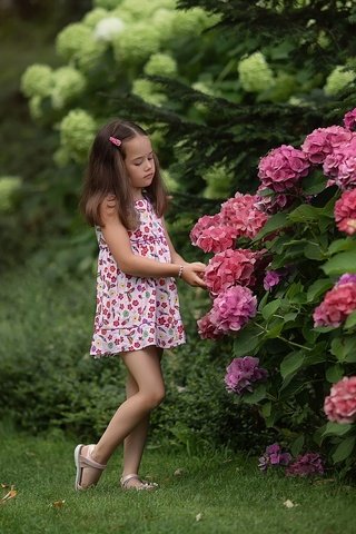 Обои цветы, природа, кусты, лето, девочка, гортензия, flowers, nature, the bushes, summer, girl, hydrangea разрешение 1920x1279 Загрузить