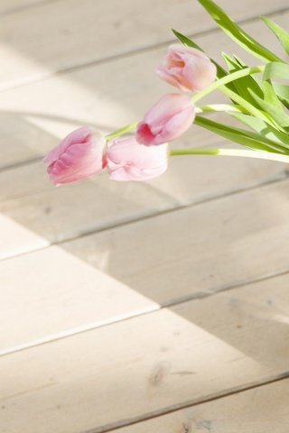 Обои цветы, букет, тюльпаны, розовые, тюльпан, ваза, flowers, bouquet, tulips, pink, tulip, vase разрешение 1920x1080 Загрузить