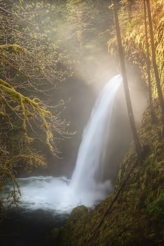 Обои свет, деревья, скалы, ветки, водопад, поток, light, trees, rocks, branches, waterfall, stream разрешение 2048x1367 Загрузить