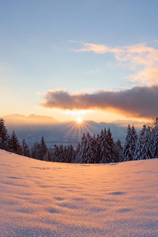 Обои свет, деревья, солнце, снег, лес, закат, зима, light, trees, the sun, snow, forest, sunset, winter разрешение 2048x1152 Загрузить