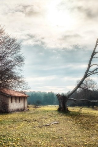 Обои природа, дерево, дом, nature, tree, house разрешение 3840x2160 Загрузить